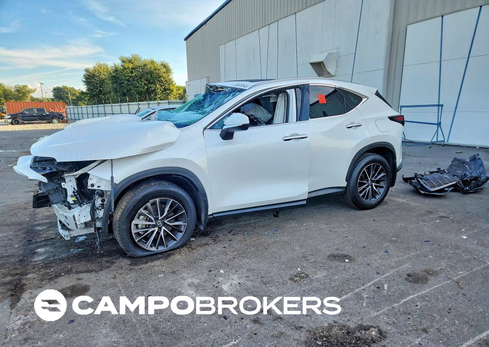 2024 Lexus Nx 250 Premium, пошкодження: Бік, Copart лот 70609546