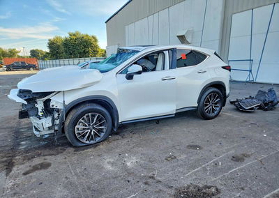 2024 Lexus Nx 250 Premium, Side damage, Copart lot 70609546