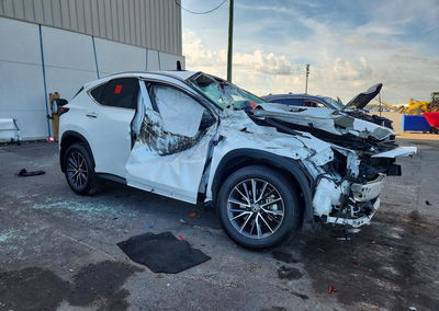 2024 Lexus Nx 250 Premium, пошкодження: Бік, Copart лот 70609546, фото 4 з 14