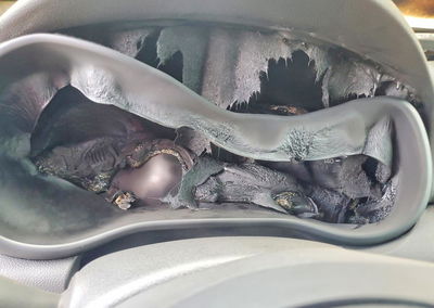 2021 Kia Sportage Lx, Burn damage, Copart lot 67934766, photo 9 of 13