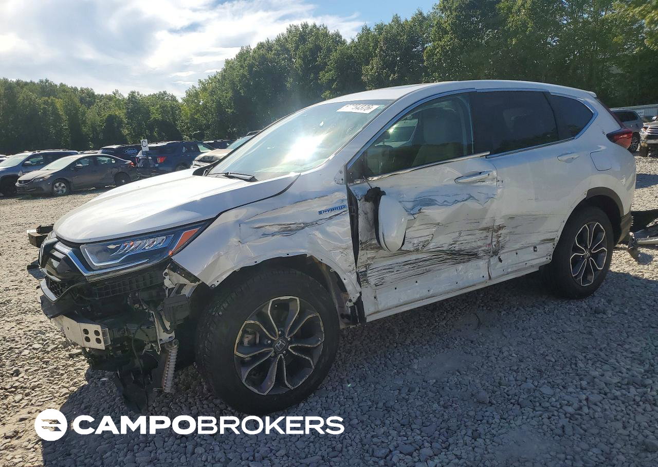 2022 Honda Cr-v Exl, пошкодження: Бік, Copart лот 67254376