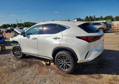 2024 Lexus Nx 350 Premium, Front End damage, Copart lot 68260346, photo 2 of 15