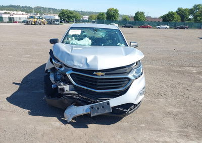 2019 Chevrolet Equinox Ls, Biohazard damage, Iaai lot 46062592, photo 12 of 16