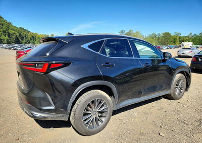 2024 Lexus Nx 350 Premium, Front End damage, Copart lot 68749046, photo 3 of 15