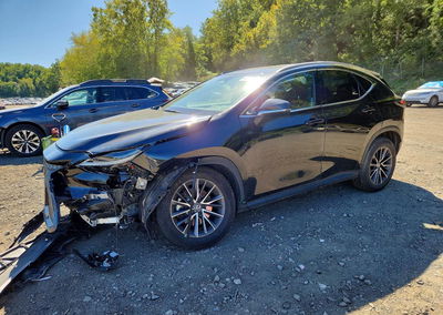 2024 Lexus Nx 350 Premium, Front End damage, Copart lot 68749046