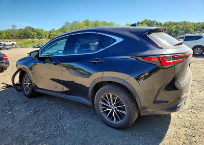 2024 Lexus Nx 350 Premium, Front End damage, Copart lot 68749046, photo 2 of 15