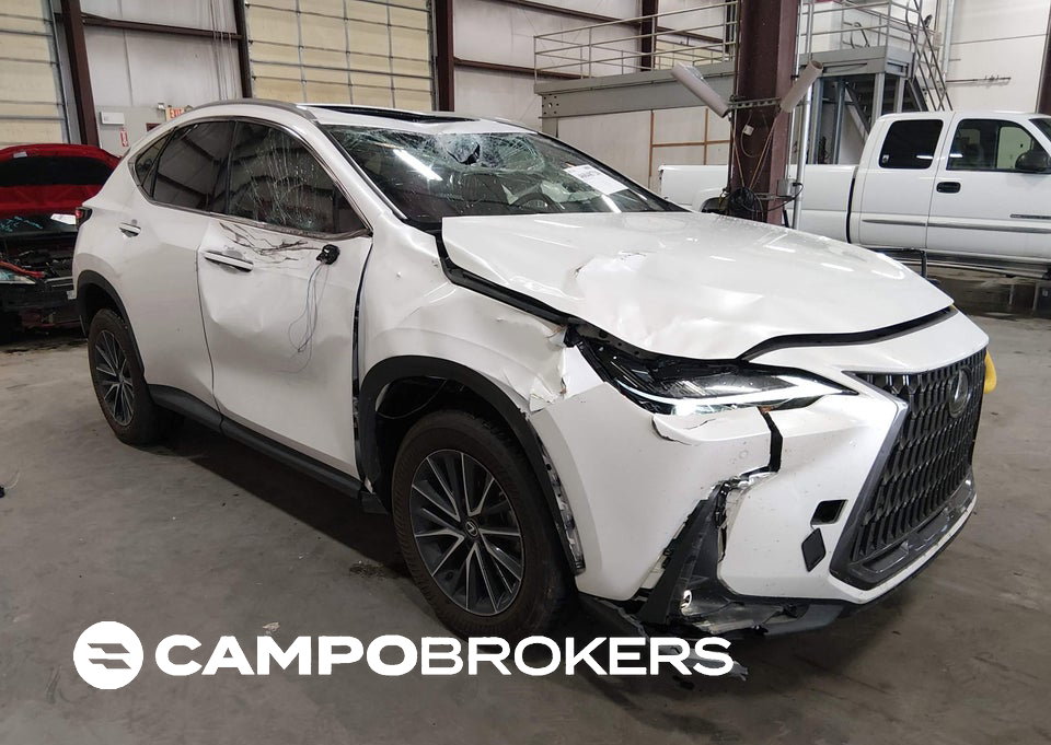2024 Lexus Nx 350h Premium, пошкодження: Передня частина, Iaai лот 46048726