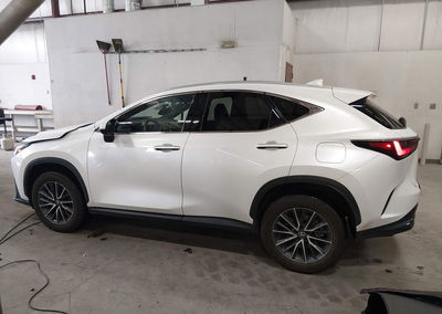 2024 Lexus Nx 350h Premium, пошкодження: Передня частина, Iaai лот 46048726, фото 15 з 17
