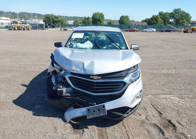 2019 Chevrolet Equinox Ls, Biohazard damage, Iaai lot 46062592, photo 6 of 16