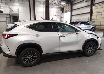2024 Lexus Nx 350h Premium, пошкодження: Передня частина, Iaai лот 46048726, фото 14 з 17