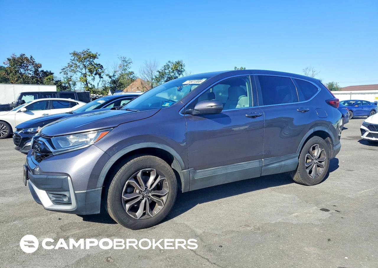 2020 Honda Cr-v Ex, Water/Flood damage, Copart lot 71501306