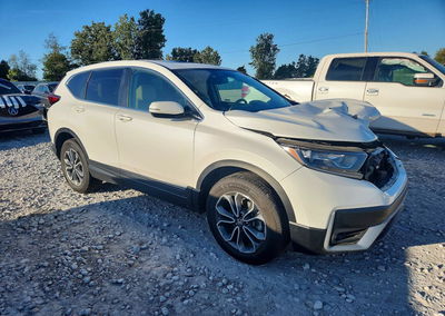 2022 Honda Cr-v, daño Frontal, Copart lote 69971366, foto 4 de 13