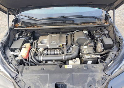 2019 Lexus Nx 300 F Sport, Rear End damage, Copart lot 66944936, photo 11 of 14