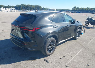 2024 Lexus Nx 350 Premium, Front End damage, Iaai lot 46196566, photo 4 of 16