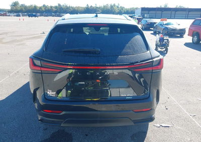 2024 Lexus Nx 350 Premium, Front End damage, Iaai lot 46196566, photo 16 of 16