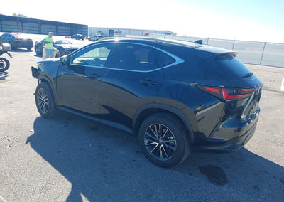 2024 Lexus Nx 350 Premium, Front End damage, Iaai lot 46196566, photo 3 of 16
