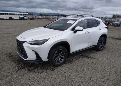 2025 Lexus Nx 350h Premium, daño Lateral derecho, Iaai lote 45997746, foto 2 de 18