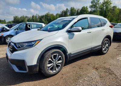 2021 Honda Cr-v Exl, daño Granizo, Copart lote 67272426