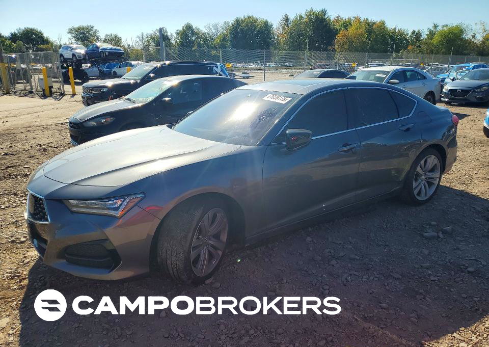 2023 Acura Tlx Technology, daño Vandalismo, Copart lote 61038176