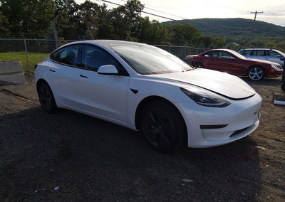 2023 Tesla Model 3 Rear-wheel Drive, Flood damage, Iaai lot 46181955
