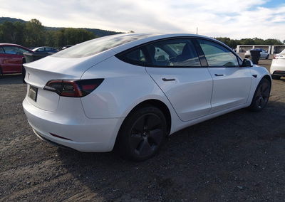 2023 Tesla Model 3 Rear-wheel Drive, uszkodzenie: Zalanie, Iaai lot 46181955, zdjęcie 4 z 11