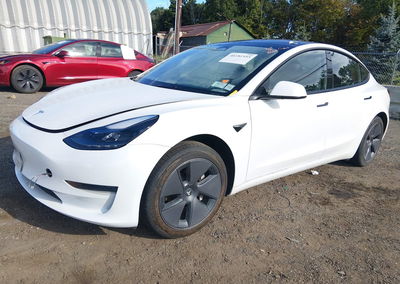 2023 Tesla Model 3 Rear-wheel Drive, uszkodzenie: Zalanie, Iaai lot 46181955, zdjęcie 2 z 11