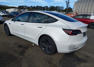 2023 Tesla Model 3 Rear-wheel Drive, uszkodzenie: Zalanie, Iaai lot 46181955, zdjęcie 3 z 11