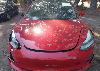 2019 Tesla Model 3 Long Range/mid Range/standard Range/standard Range Plus, daño Left & Right Side, Iaai lote 46119317,