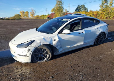 2023 Tesla Model 3, daño Frontal, Copart lote 73142876
