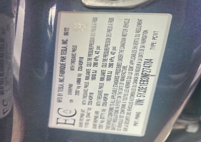 2022 Tesla Model 3, uszkodzenie: Tył, Copart lot 67933876, zdjęcie 12 z 12