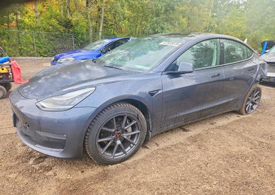 2022 Tesla Model 3, daño Trasero, Copart lote 67933876