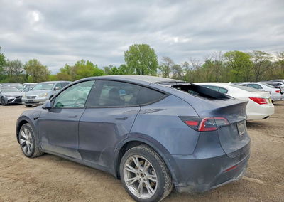 2023 Tesla Model Y, daño Granizo, Copart lote 51338366, foto 2 de 12