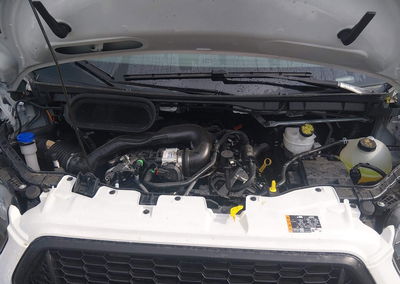 2024 Ford Transit-350 Passenger Van Xl, Fresh Water damage, Iaai lot 46146927, photo 10 of 11