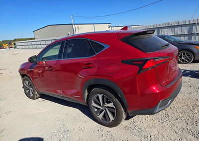 2019 Lexus Nx 300h, Front End damage, Copart lot 74111486, photo 2 of 13