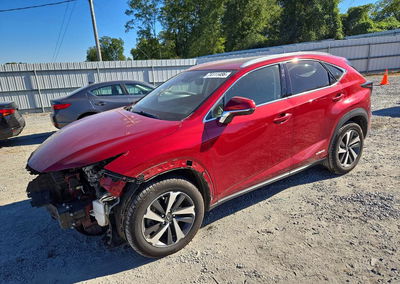 2019 Lexus Nx 300h, пошкодження: Передня частина, Copart лот 74111486
