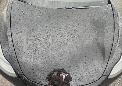 2019 Tesla Model 3, daño Frontal, Copart lote 74232316, foto 11 de 13