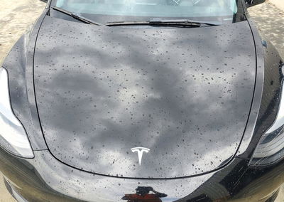 2023 Tesla Model 3, daño Mecánico, Copart lote 74037806, foto 11 de 12