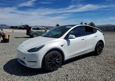 2021 Tesla Model Y, daño Trasero, Copart lote 61452636