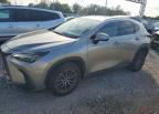 2022 Lexus Nx 250, Minor Dents/Scratches damage, Copart lot 72164896