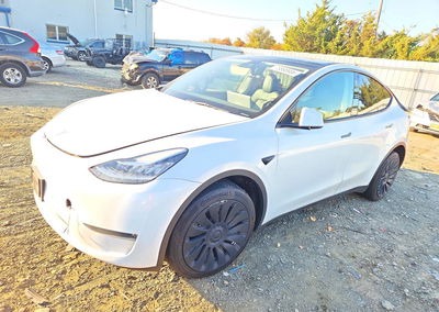 2023 Tesla Model Y, uszkodzenie: Tył, Copart lot 73898906