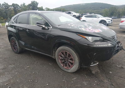 2021 Lexus Nx 300, Front End damage, Iaai lot 46020527