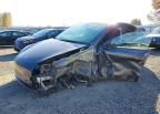 2023 Tesla Model Y, daño Frontal, Copart lote 73102316