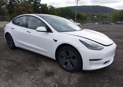 2023 Tesla Model 3 Rear-wheel Drive, пошкодження: Затоплення, Iaai лот 46182871
