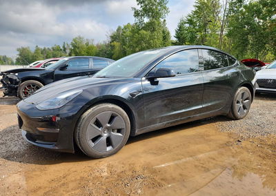 2023 Tesla Model 3, uszkodzenie: Tył, Copart lot 67300986