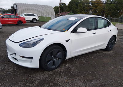 2023 Tesla Model 3 Rear-wheel Drive, Flood damage, Iaai lot 46182871, photo 2 of 11