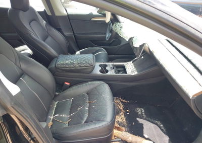 2023 Tesla Model 3 Rear-wheel Drive, Roof damage, Iaai lot 45452462, photo 5 of 15