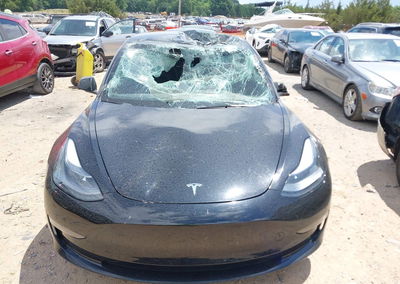 2023 Tesla Model 3 Rear-wheel Drive, Roof damage, Iaai lot 45452462, photo 11 of 15