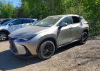 2025 Lexus Nx 350h Premium, Vandalism damage, Copart lot 55905326