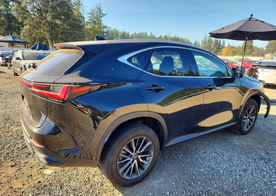 2023 Lexus Nx 350h, daño Frontal, Copart lote 73637896, foto 3 de 15
