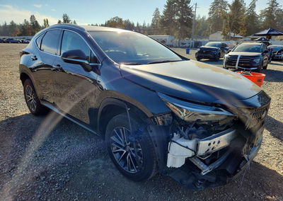 2023 Lexus Nx 350h, daño Frontal, Copart lote 73637896, foto 4 de 15